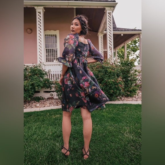 NWT JessaKae Polly Dress (2X) - Picture 2 of 12